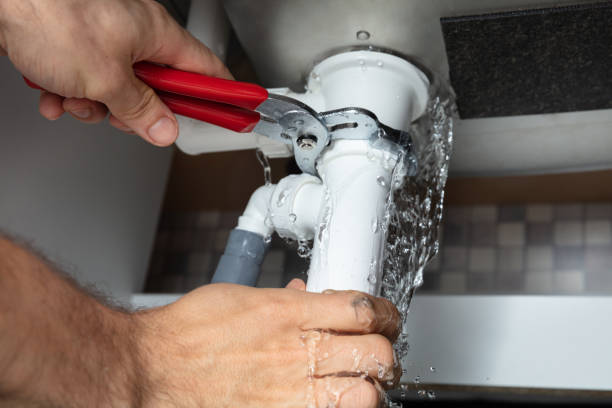 Best Local water damage restoration  in Cedar Grove, WI