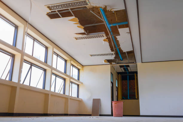 Best Ceiling water damage repair  in Cedar Grove, WI