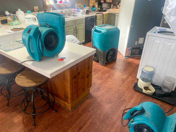 Best Sewage cleanup and water damage restoration  in Cedar Grove, WI