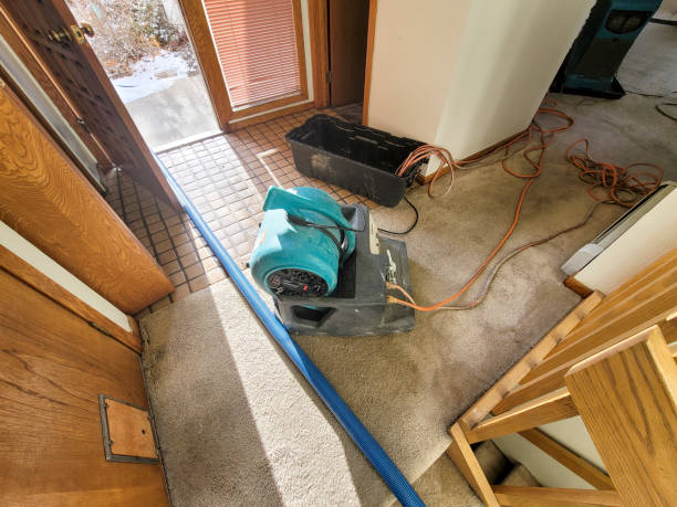 Best Emergency water damage restoration  in Cedar Grove, WI