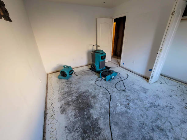 Best Water damage restoration cost  in Cedar Grove, WI