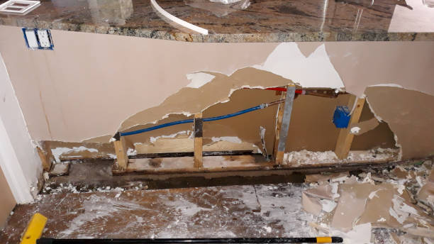 Best Water damage restoration specialists  in Cedar Grove, WI