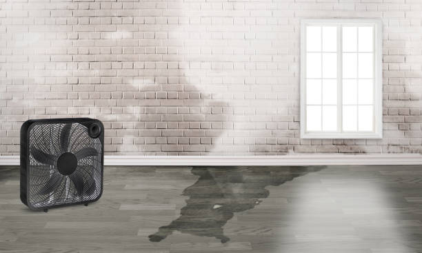 Best Residential water damage restoration  in Cedar Grove, WI