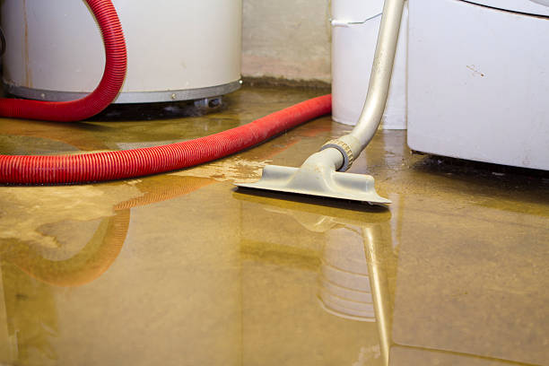 Best Water damage restoration near me  in Cedar Grove, WI
