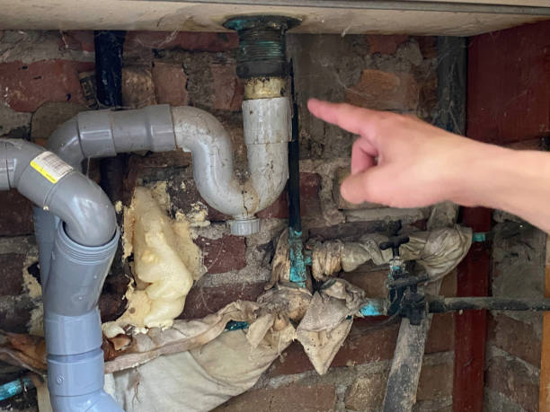 Best Water damage restoration near me  in Cedar Grove, WI