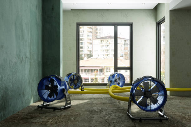Best Professional water damage repair  in Cedar Grove, WI